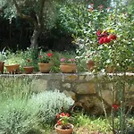 Apartment Premantura *