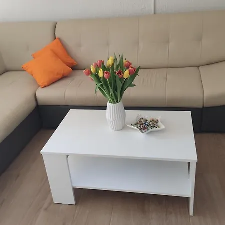 Apartman Apartment Premantura