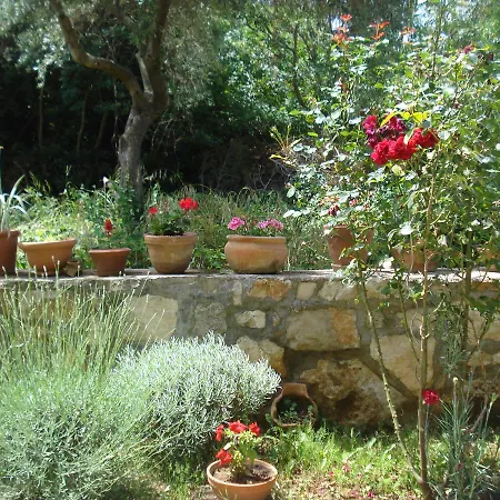 Apartment Premantura *