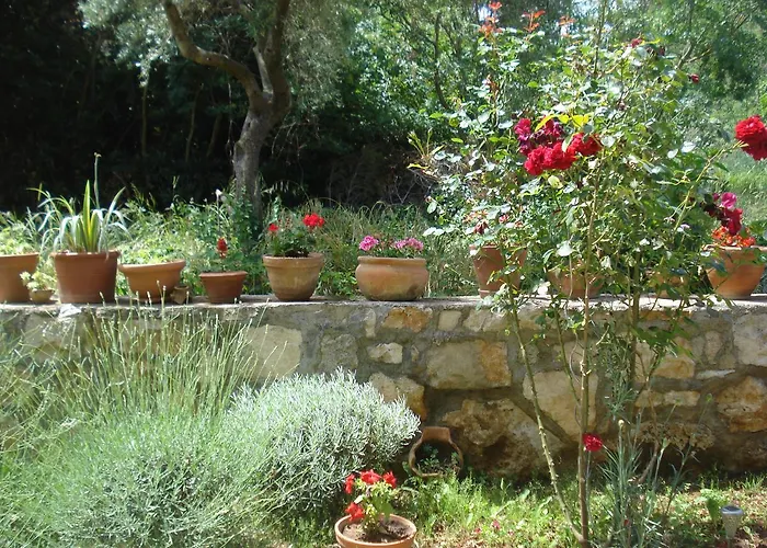 Apartment Premantura *