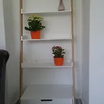 Appartement Apartment Premantura
