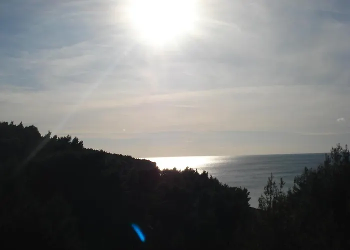 Apartment Premantura